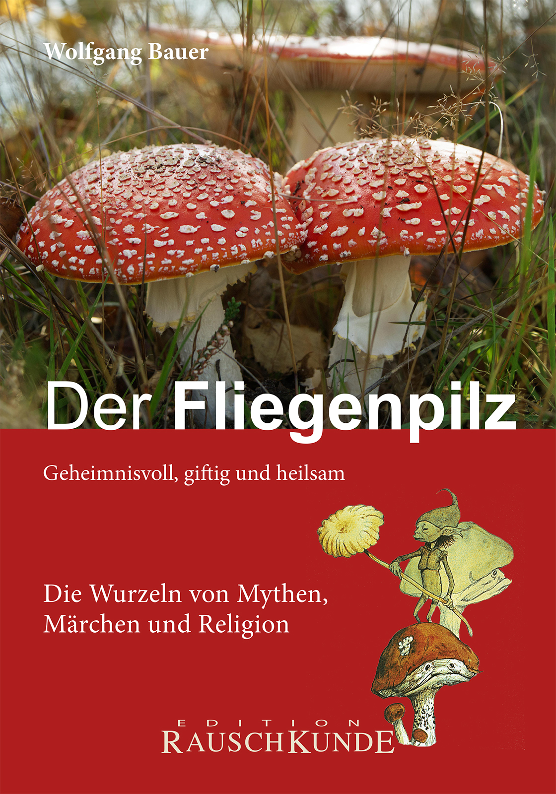 Der Fliegenpilz Der Fliegenpilz